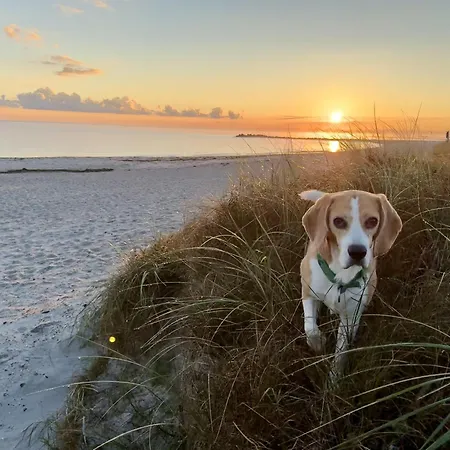 Apartament Waterkant Direkt Am Mit Meerblick Und Garten Kalifornien